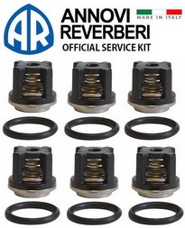 Комплект клапанов для помпы RR 15.20, арт. 2864