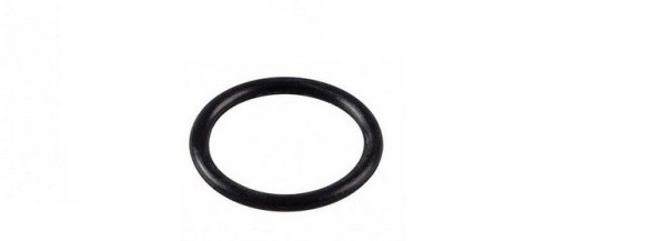 Кольцо болта поршня для насоса WS151 Royal Press арт. GUGO01036