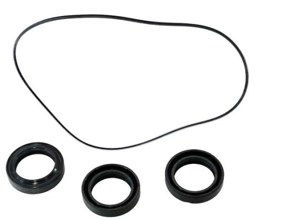 Комплект сальников помпы NA5 Nilfisk ALTO