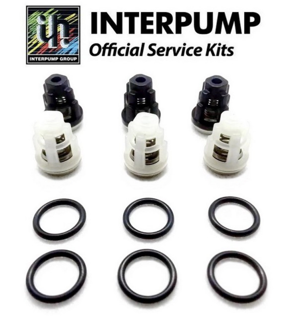 Комплект клапанов KIT 309 для помпы EVO 1 арт. 34030901