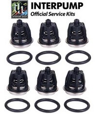 Комплект клапанов KIT 01 для Royal Press, Golden Jet, Mistral, HPS