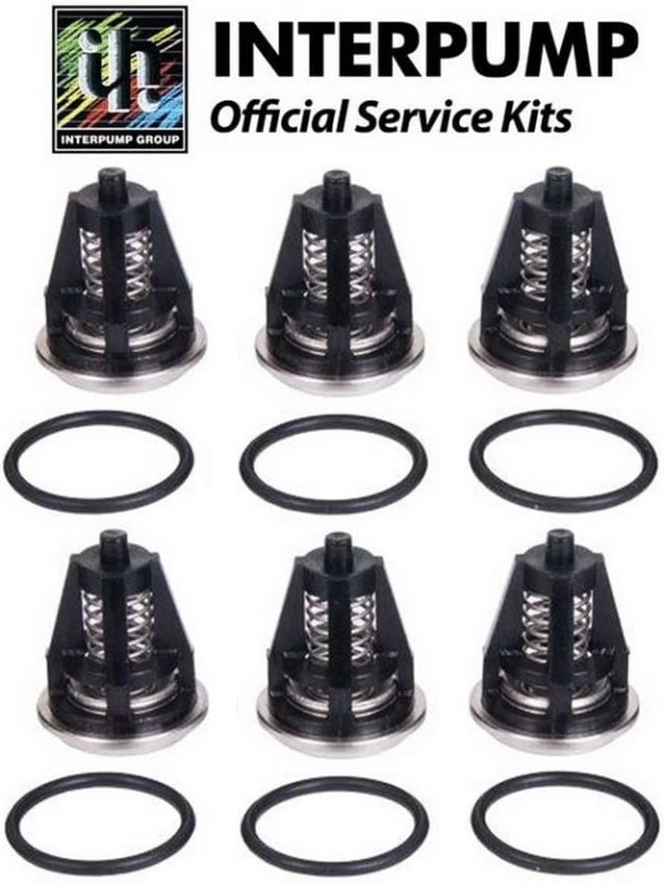 Комплект клапанов KIT 62 для помпы T44, T55, WS153