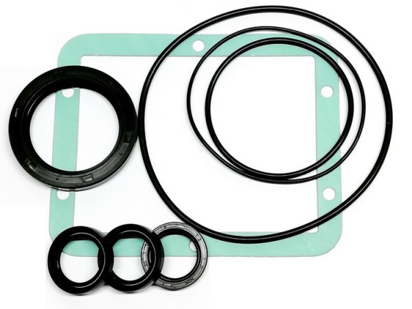 Комплект сальников для POSEIDON 5-62, 5-63, NEPTUNE 5-54, 5-57, арт. 301001150