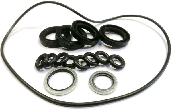 Комплект сальников помпы С 3 Nilfisk ALTO арт. 1119820