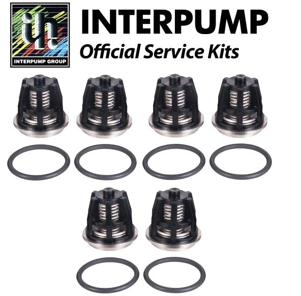 Комплект клапанов KIT 43 для помп W827, T8271, HT6968 Interpump